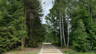 Srnčí důl